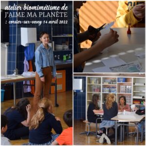 Journée de la biodiversité Corsier-sur-Vevey Eco-Schools