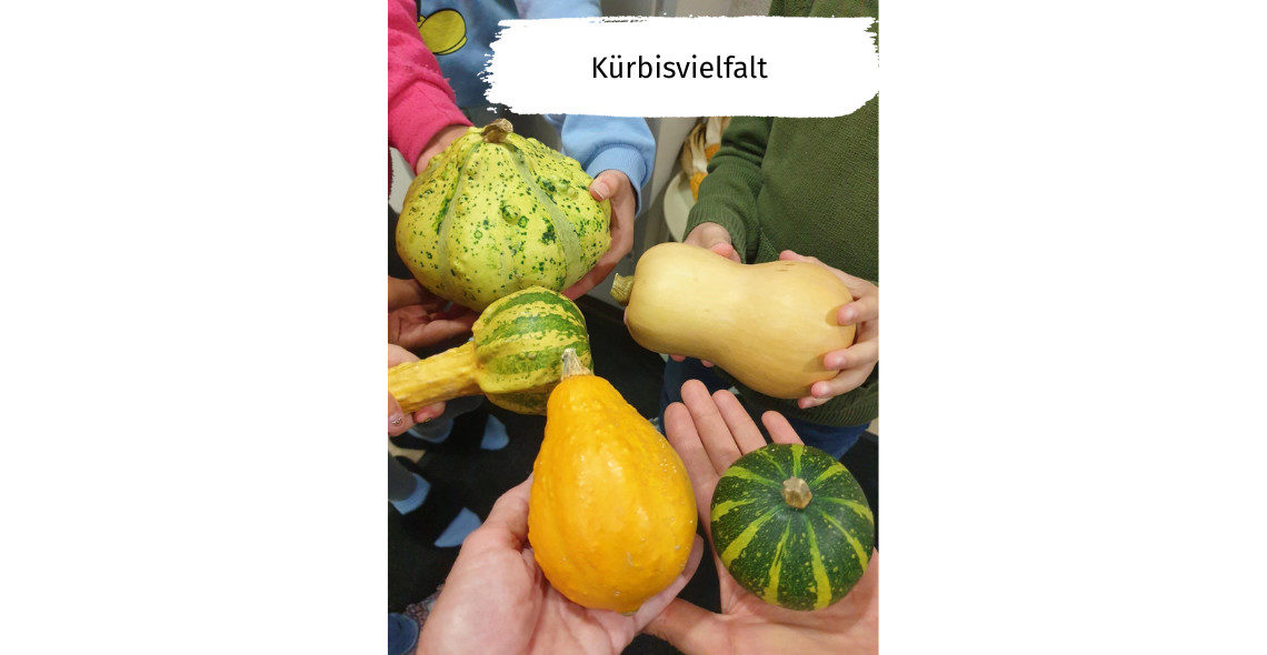 Kita Kaeferberg-Image3-DE